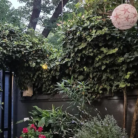 Praga * Бухарест