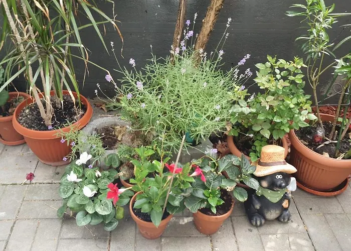 Apartament Praga Bucureşti