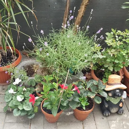 Apartamento Praga Bucarest